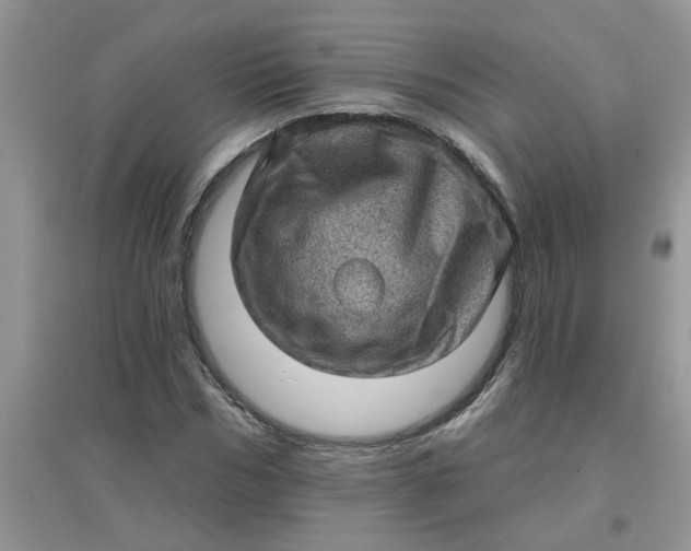 X0000097630970200803142021