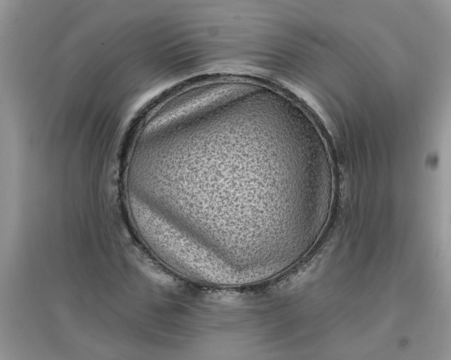 X0000097630971200803142021