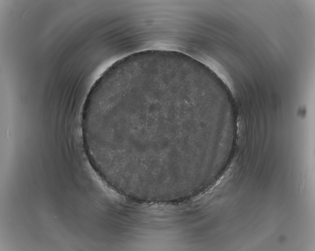 X0000097630972200803142021