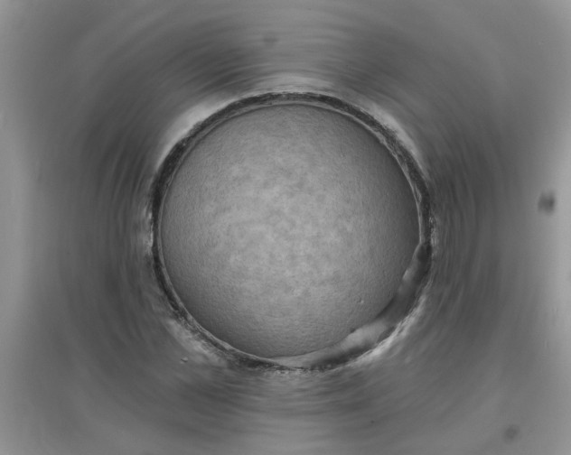 X0000097630973200803142021