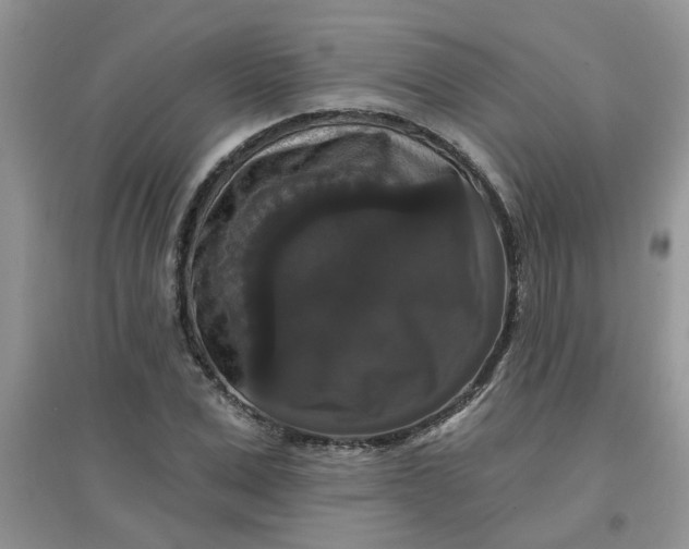 X0000097630975200803142021