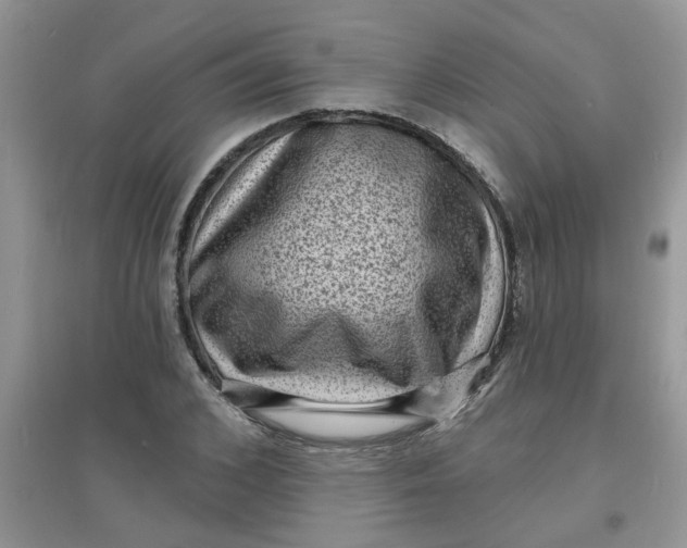 X0000097630976200803142021