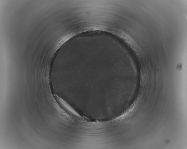 X0000097630977200803142021