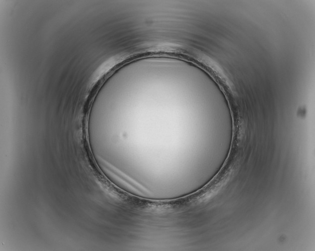 X0000097630978200803142021