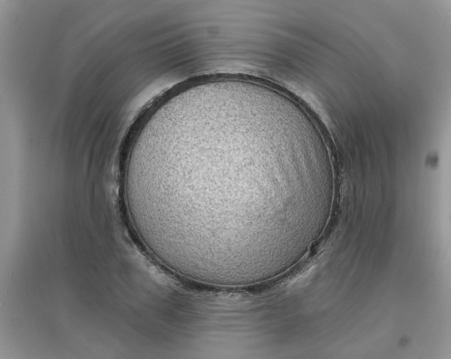 X0000097630979200803142021