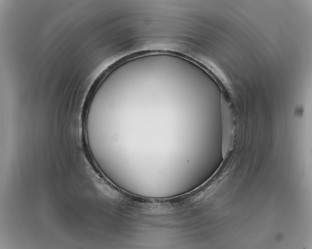 X0000097630980200803142021