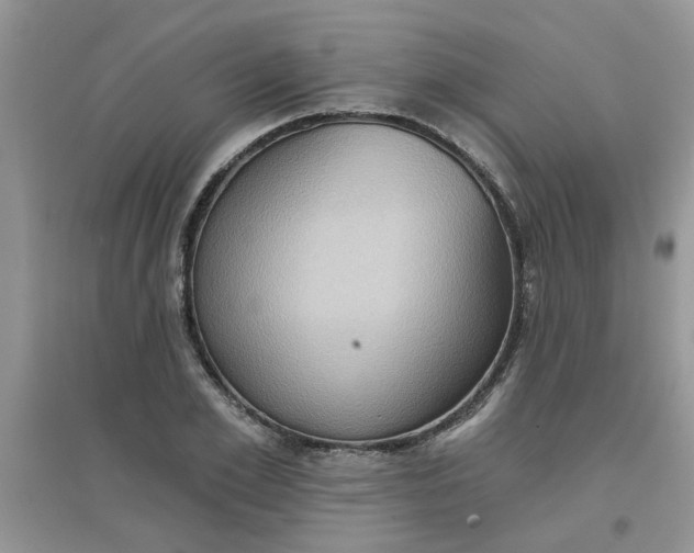 X0000097630981200803142021