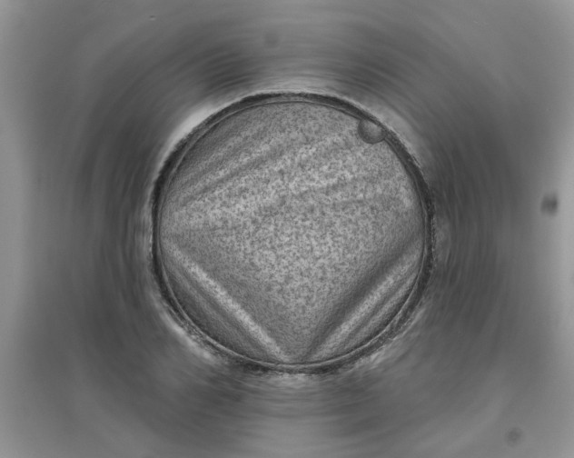 X0000097630982200803142021