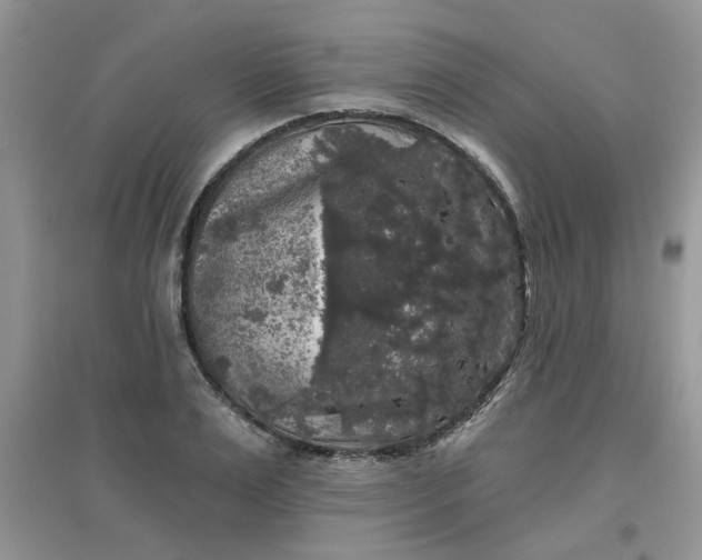 X0000097630983200803142020