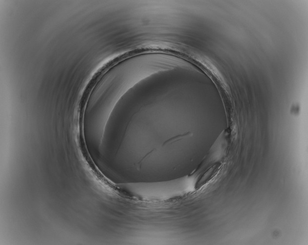 X0000097630984200803142020