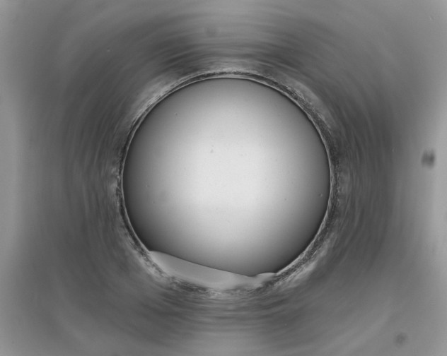 X0000097630985200803142020