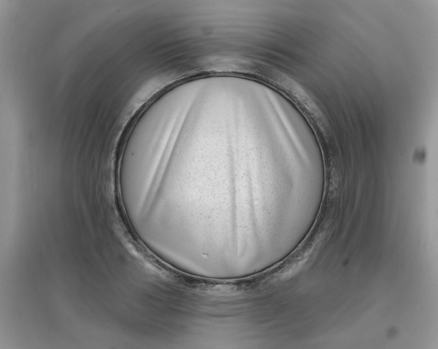 X0000097630986200803142020