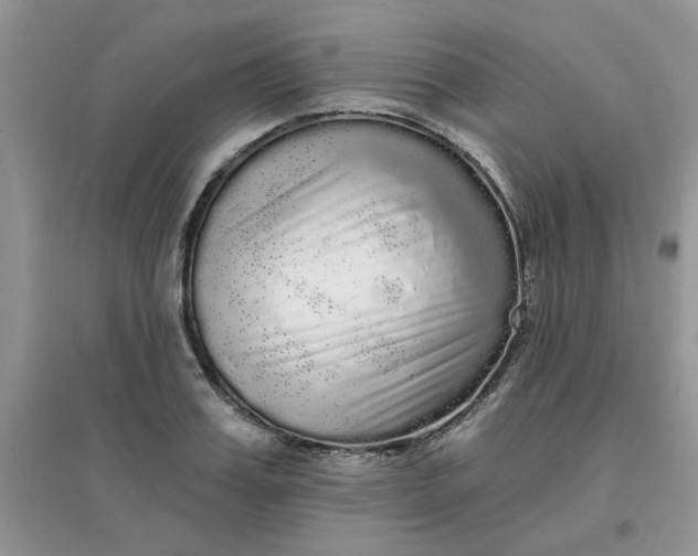 X0000097630987200803142020