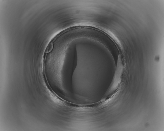 X0000097630988200803142020