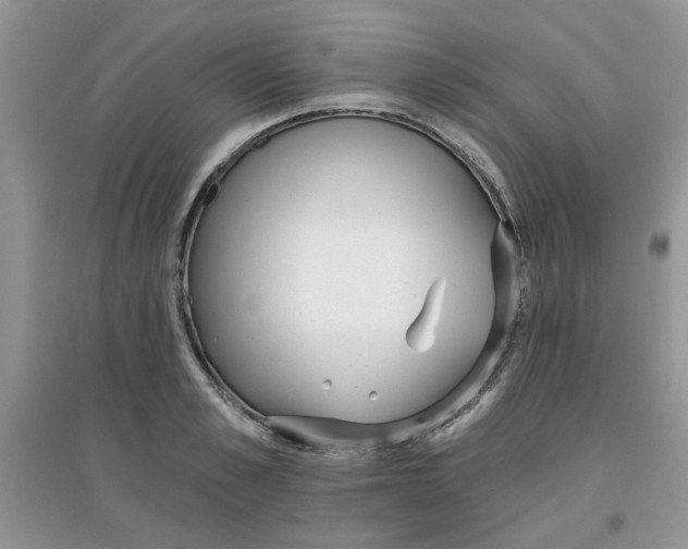 X0000097630989200803142020