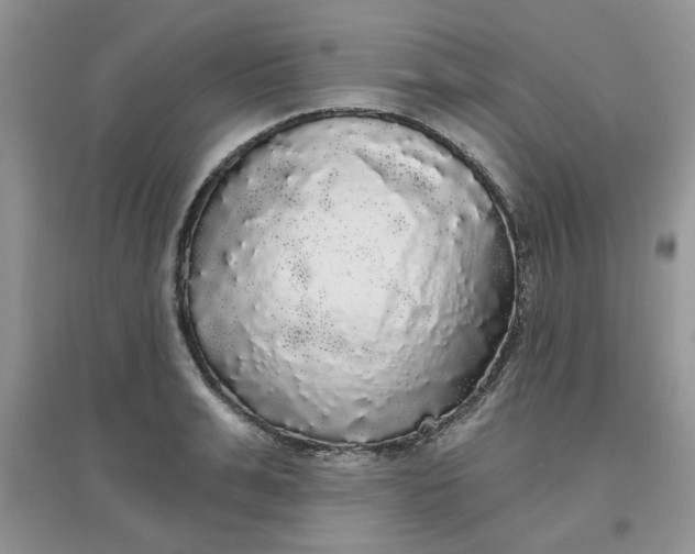 X0000097630991200803142020