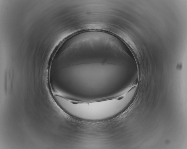 X0000097630992200803142020