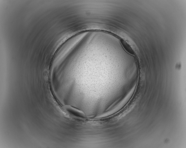 X0000097630993200803142020