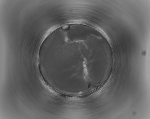 X0000097630994200803142020