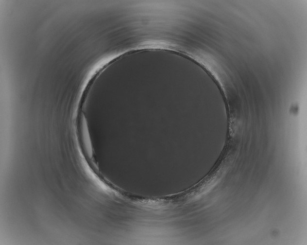 X0000097630995200803142020