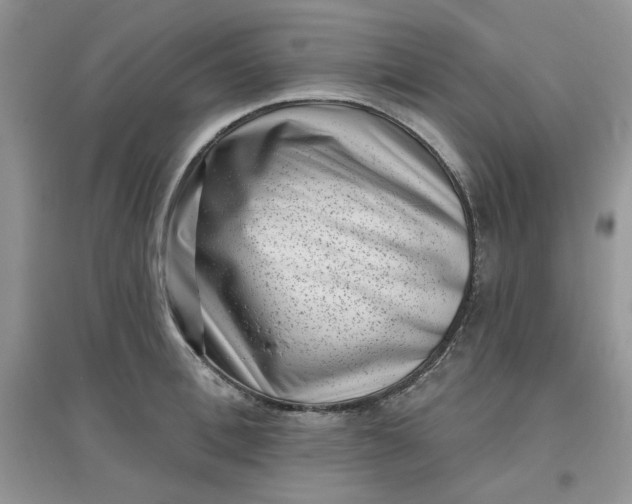 X0000097630996200803142020