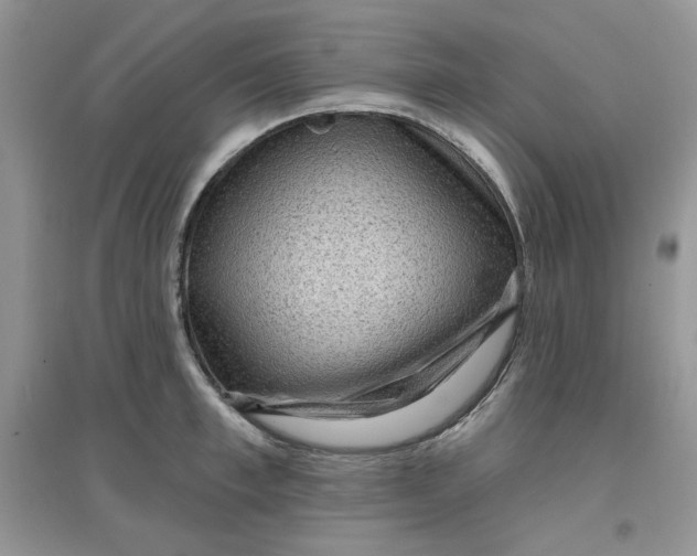 X0000097630997200803142020