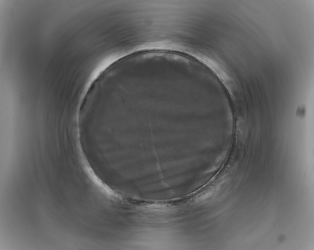 X0000097630998200803142020