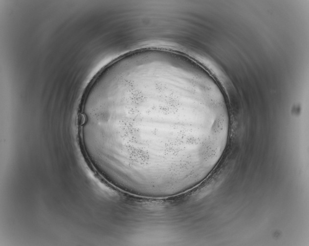 X0000097630999200803142020