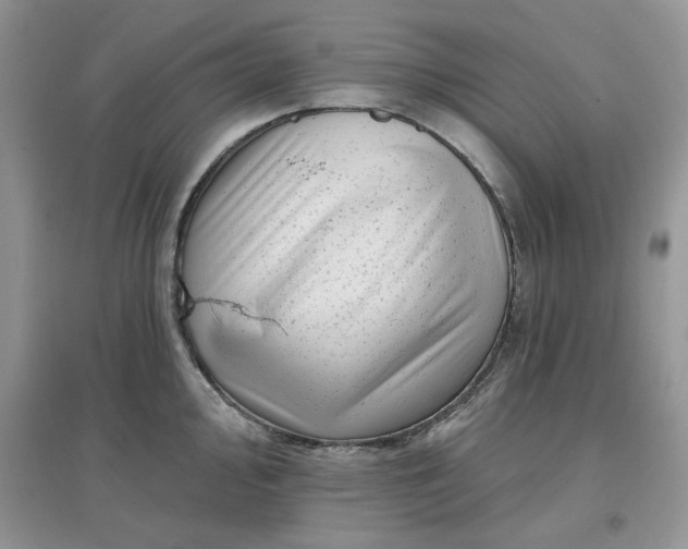 X0000097631000200803142020