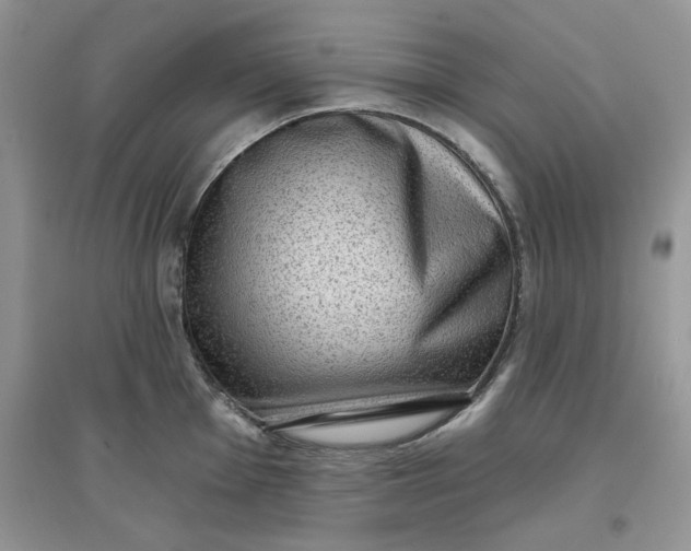 X0000097631001200803142020