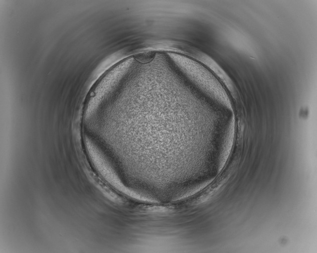 X0000097631002200803142020