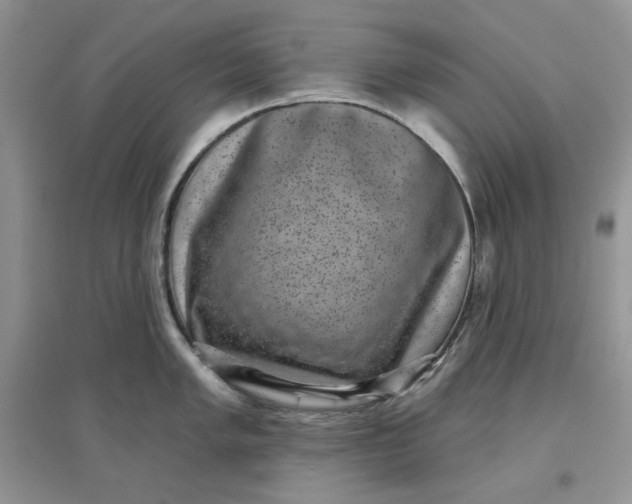 X0000097631005200803142020