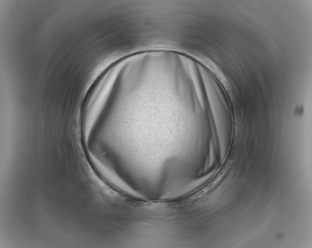 X0000097631006200803142020