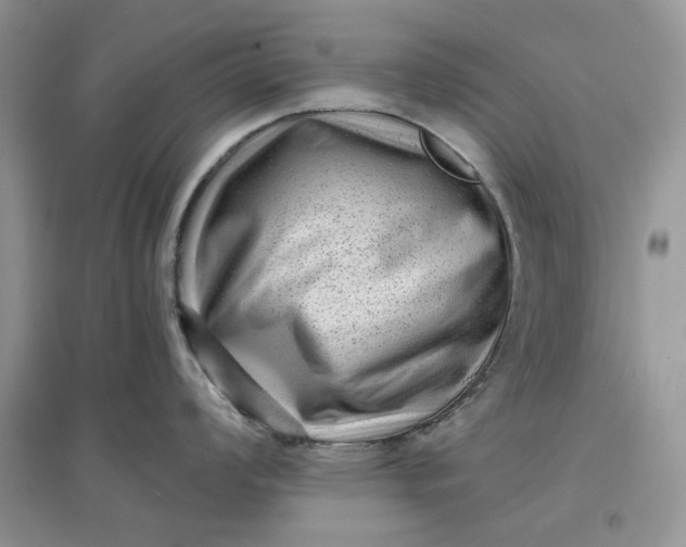 X0000097631008200803142020