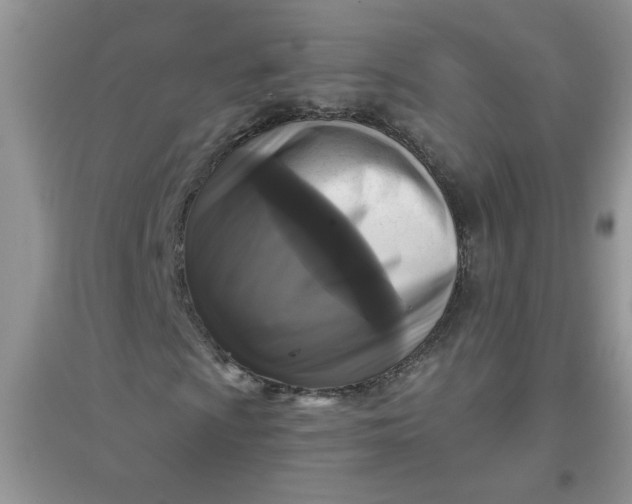 X0000097631009200803142019