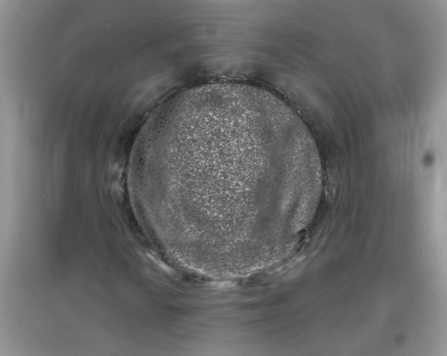 X0000097631010200803142019