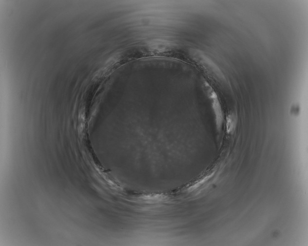 X0000097631011200803142020