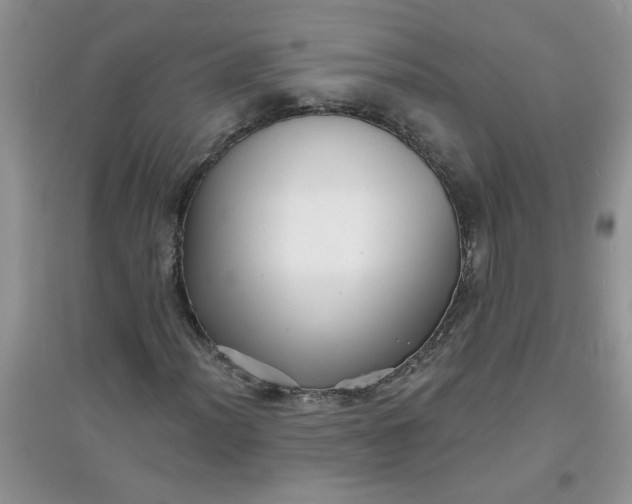 X0000097631012200803142020