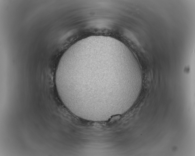 X0000097631013200803142020