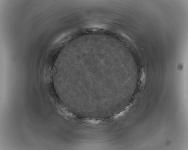 X0000097631014200803142020