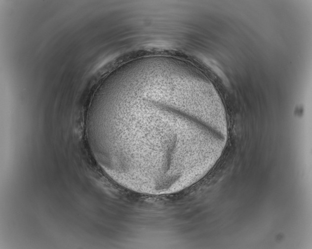 X0000097631015200803142020