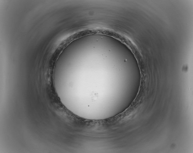 X0000097631016200803142020