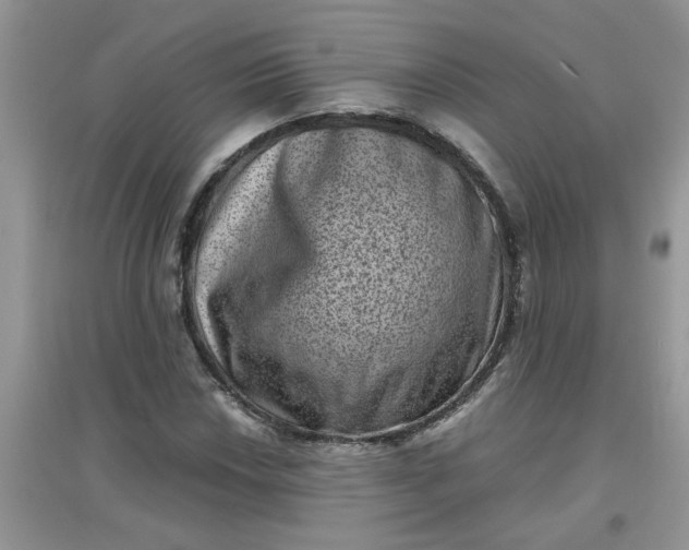 X0000097631018200803142020