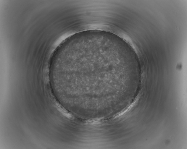 X0000097631019200803142020