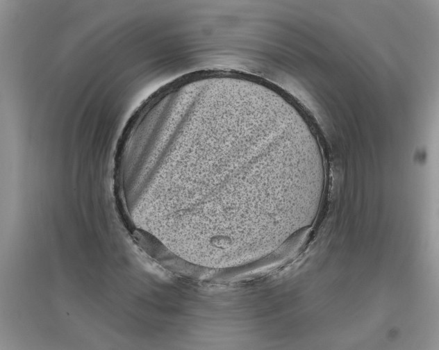 X0000097631020200803142020