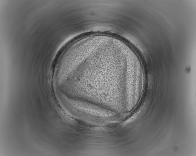 X0000097631021200803142020