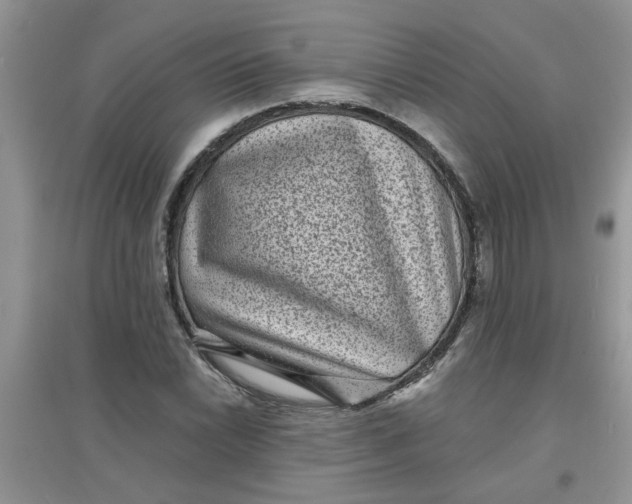 X0000097631022200803142020