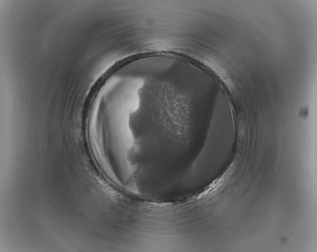 X0000097631023200803142020