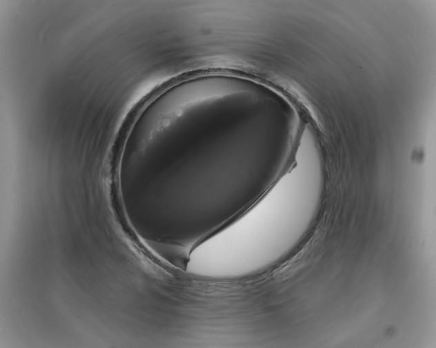 X0000097631024200803142020