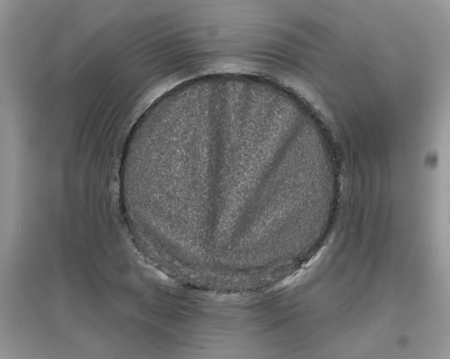 X0000097631025200803142020